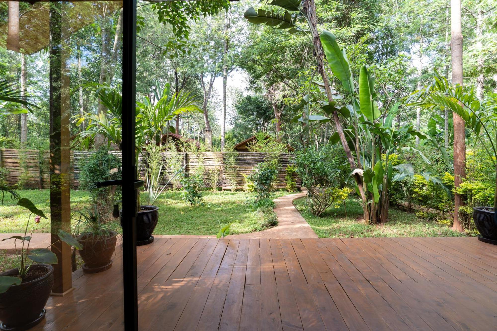 The Jungle Oasis With Heated Pool Apartment ไนโรบี ภายนอก รูปภาพ